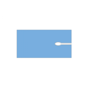 Beyin Pili Örtüsü...